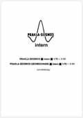 Prakla-Seismos Report-intern